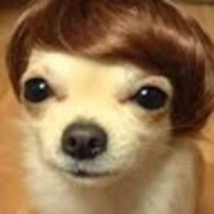 Meet your Posher, Todd